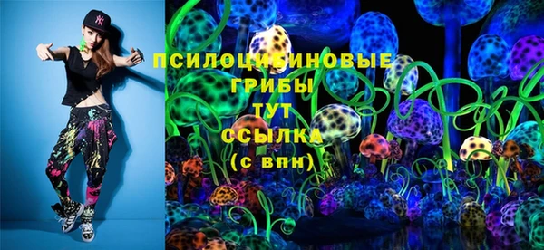 бошки Зеленодольск