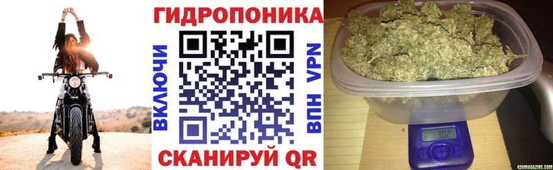 Купить Рудня МАРИХУАНА LSD WEED